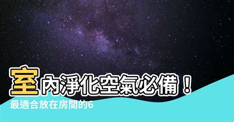 房間可以放什麼花|【房間放什麼花】9種為你的卧室帶旺桃花和好運的植物朵開